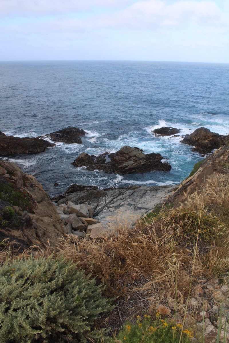 pizzadaddy420's tweet photo. big sur did NOT disappoint ‼️ https://t.co/YWGPmzPilU