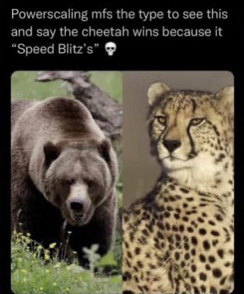ofdaCorner's tweet photo. @Marc31038141 @johsblog • Kat  = G4 Haki.
• Forget about speed I can make arguments for King’s speed. But King literally just has to stand still and let Kat attack him.
Kat’s strongest attacks don’t even scratch base King, and King can literally blow explosions. https://t.co/N12I1LLq0o