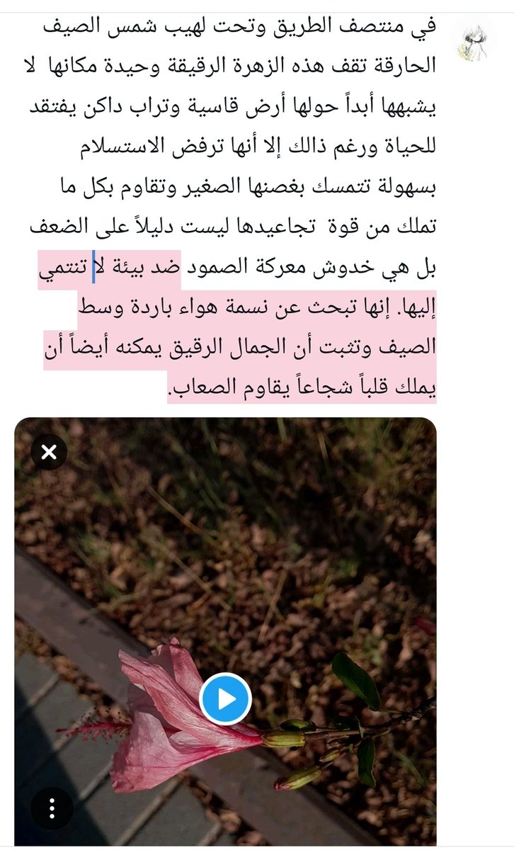 hudaskd's tweet photo. https://t.co/fYUquvf9I8