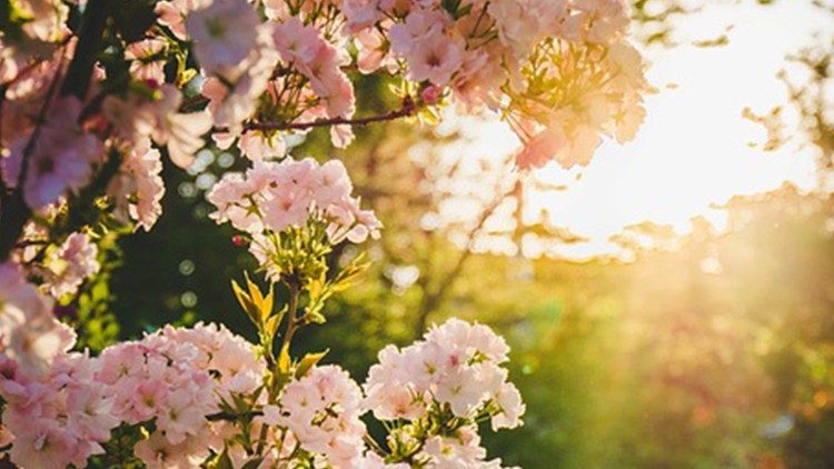 _flaviascollo's tweet photo. "992"
"Per tutte le persone che hanno dei problemi, sono deluse e sfiduciate, il Signore è accanto a voi, non lo dimenticate mai, aggrappatevi alla speranza della Madonna di Lourdes e di suo figlio Gesù, pregate e troverete consolazione al vostro animo. Il https://t.co/yM0rTTO0YE