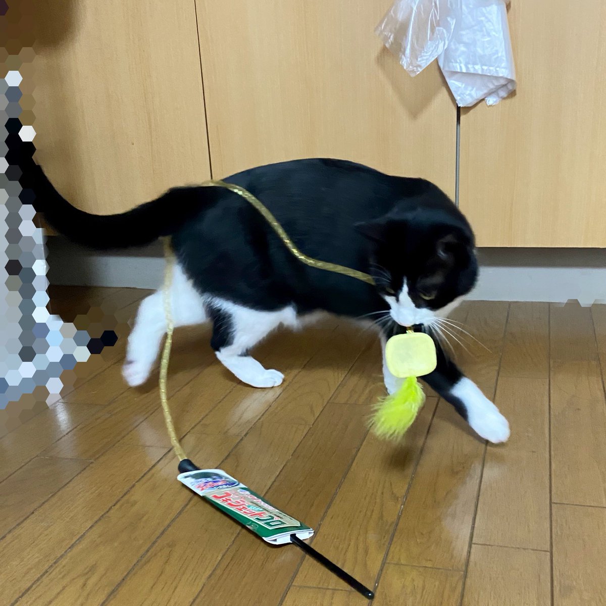 nondacurea's tweet photo. この子は一体何をしてるのか。 https://t.co/LwguloLSXK