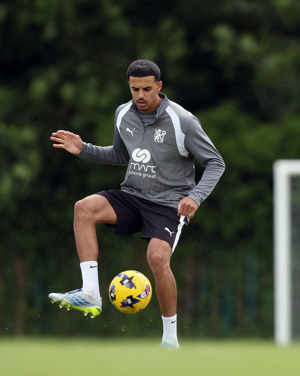 theposh's tweet photo. 📷 👊

#pufc https://t.co/StnCor4fP8