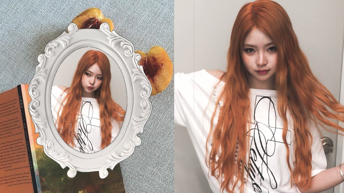Hkaeum's tweet photo. https://t.co/MUuAFkFXz3ㅤㅤ(오렌지 고양이 왔어요!)ㅤㅤ✿︎ https://t.co/MjYVE5OXcj
