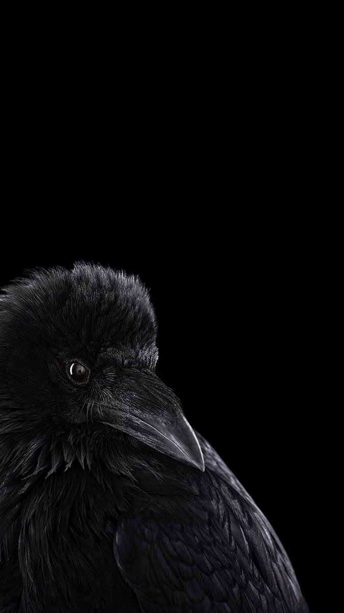 Black. tweet media