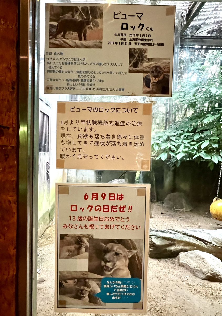 くまとねこ (@bear_87cat) / Posts / X