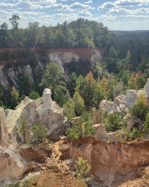 Rico_Alto's tweet photo. @FreddyLA7 A little out of the way near Auburn, Providence Canyon. Swings you thru Columbus, GA https://t.co/BApKzrxWNo
