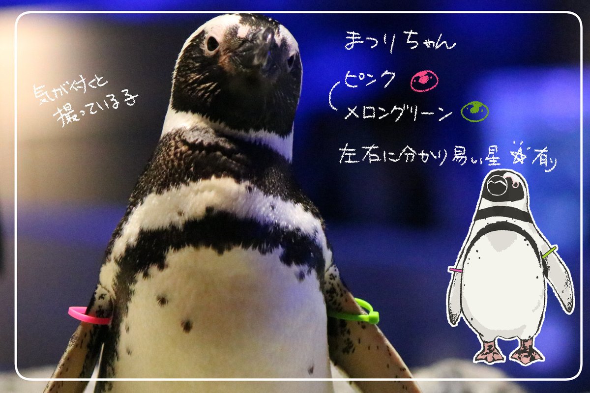 描けば覚えるだろう戦法！(続くかは不明…💦） 最初は一番撮ってる