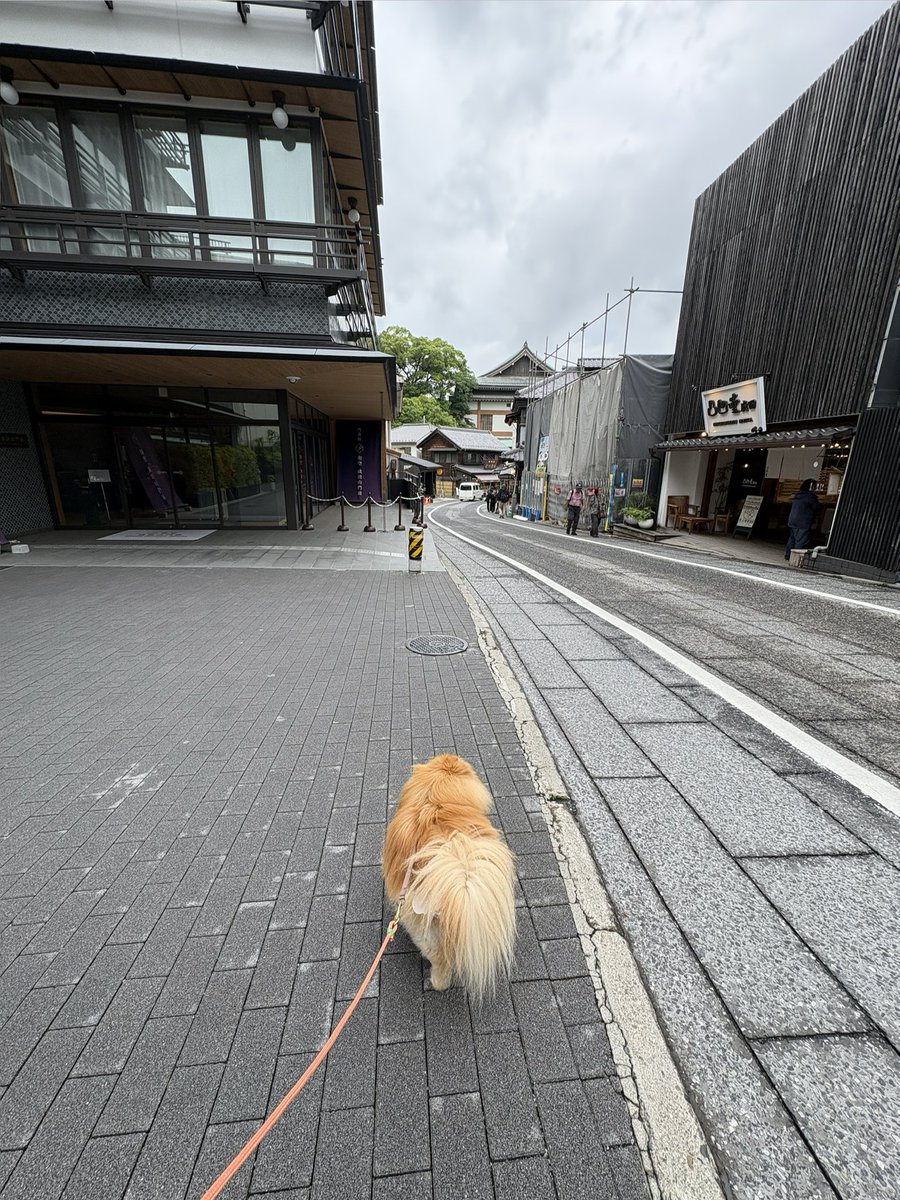 ryohina2809's tweet photo. 2026.6.9
今年お初の成田山
すごく空いていた　
こんなの久々6月って閑散期？
おみくじ吉　
内容めっちゃ良かった✨ https://t.co/PWkAdphfxu