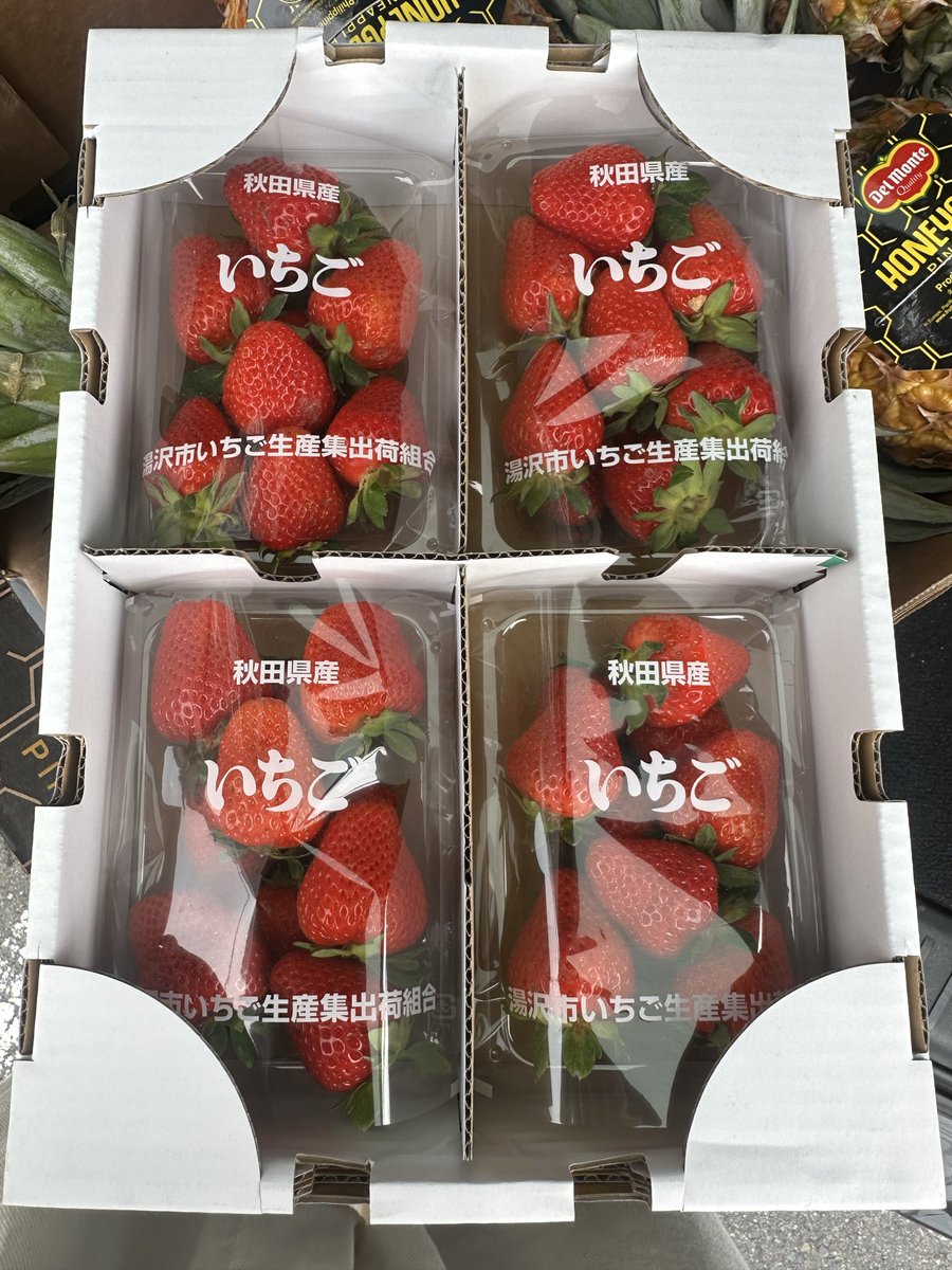 juhyomoka's tweet photo. ◇寿氷からの伝言◇
こんばんは。
明日6/10水　遅寿氷🌃🧊11-19頃
となります。

今週の予定
6/11木　営業
6/12金　営業　
6/13土　営業　🌃夜寿氷&amp;YUJI
6/14日　営業
6/15月　営業
※6/15早朝　寿氷パティオ（中庭）にて
W杯　オランダ戦　5:00〜
（4:00頃から入場可能） https://t.co/4DxXcYiP2T