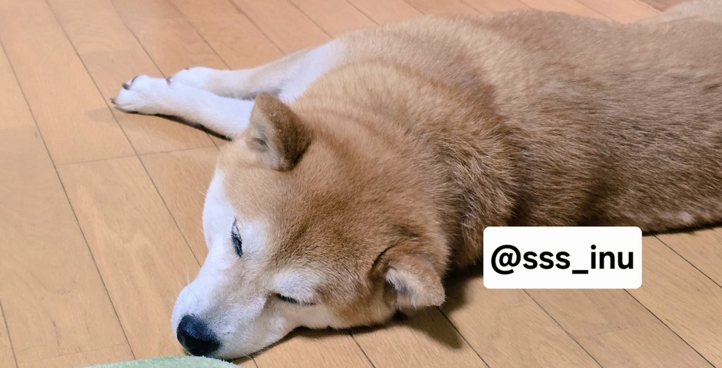 おやすみ～～😪💤💤