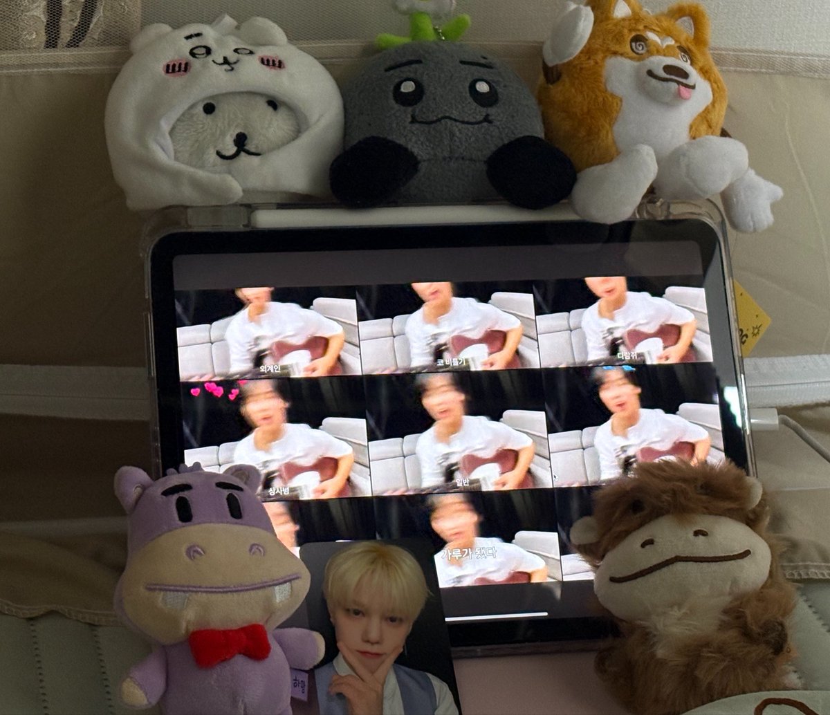 shxge's tweet photo. 하루종일 일하고 •• 잠복결핵검진 받으러 가서
주사만 3방 찔리고 멍 2개 얻어와서 우울한 마음을
환절기 보고 날려버렸더요 😻🙌🏻💐
( 이사하면서 사라져버린 먐인형아 어딨니 •• ㅠ ㅠ )

#NFlying #엔플라잉 #환절기 #In_Between_Seasons #부서진_마음_수거함 https://t.co/LkA9YFuCSx