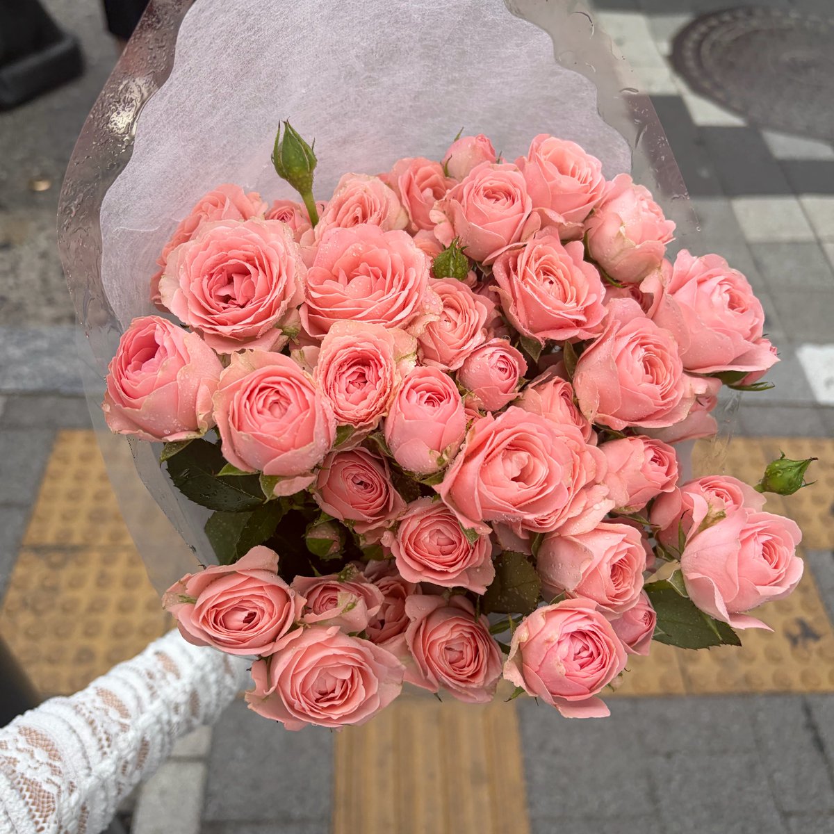 d00mdoom's tweet photo. @diveslovesmax 아아앙 미국 가지마

한 트친이 중학교, 고등학교를 졸업하고
성인이 되기까지의 이야기... https://t.co/48gnFy0rsS