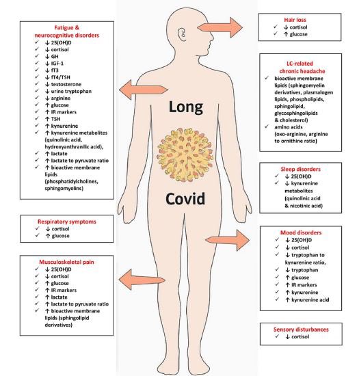 madalamaga's tweet photo. 🚨 New publication in Advances in Clinical Chemistry!
Our book chapter, “Hormonal, Metabolic and Metabolomic Biomarkers in Long COVID”, reviews the role of endocrine dysfunction and metabolomic signatures in long Covid pathogenesis &amp; diagnosis. 
https://t.co/alwA8U1tKV
#longCovid https://t.co/WsdTgvynGs