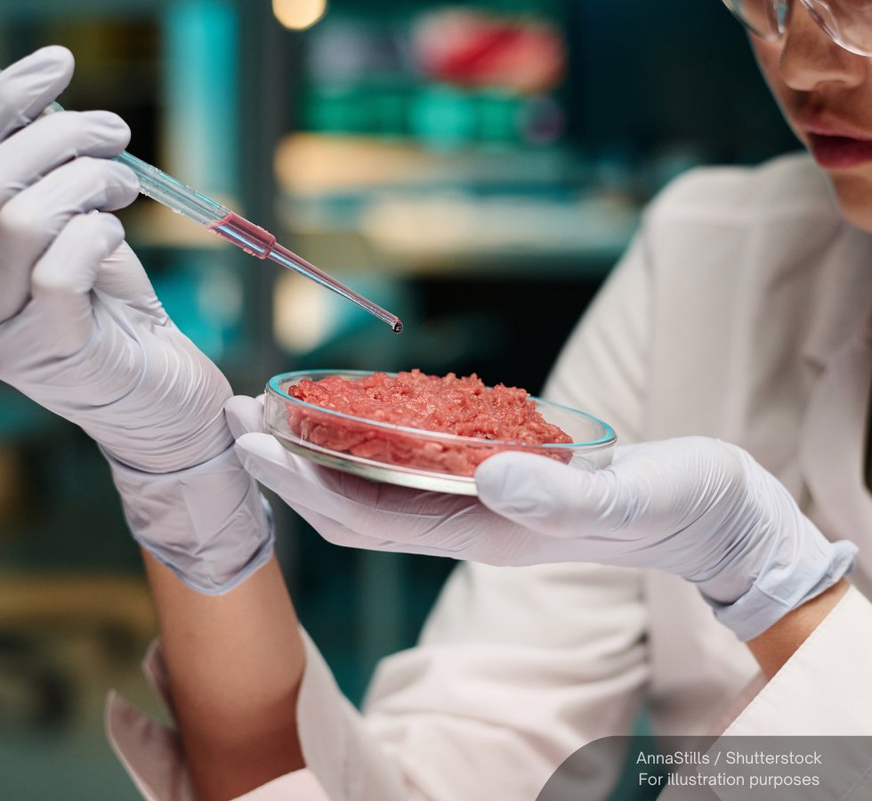 NewsBFM's tweet photo. Malaysia is studying the commercial potential of cultured meat and other cell-based food products as alternative protein sources to strengthen national food security.

The initiative is currently being assessed from multiple aspects, including environmental and religious considerations, as well as halal certification requirements.

🧵1