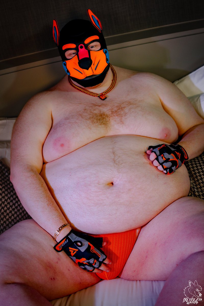 pokepupDrake's tweet photo. dog tum for a tuesday, come rub 👀

📸 @Blitz__Fox https://t.co/AiZio2E07e