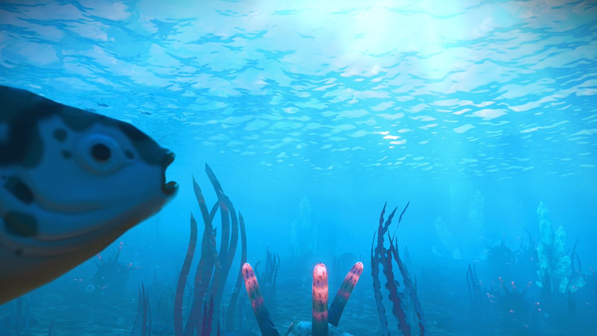 IntimateShine's tweet photo. 🐟 Did you hear about the Grand Festival?
  
No Man’s Sky communities and creators are gathering June 19–21 

Learn more at https://t.co/anR7gj32O2!

#nomanssky #NMSGrandFestival @NoMansSky https://t.co/ZCB7Rx8XmK