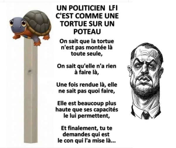 moi54920's tweet photo. @Mapi421 Quant un français, disait ça, il y a quelques années, c’était forcément fasciste
Quand on mettait des drapeaux tricolore , on était fasciste
Bizarre les mêmes qui traitait de fasciste, il y a quelques années se comportent comme ça 
Tous la logique de LFI https://t.co/rljU6859TL