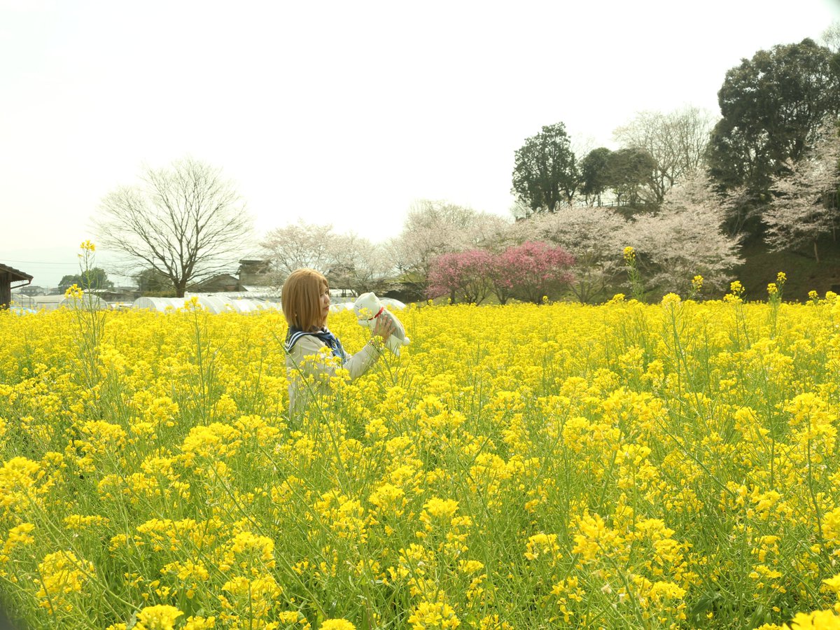 dikuraruhaito's tweet photo. ロケ撮影中心
自分でロケ先を探して、許可を取って
撮影しています
ストロボは使いません
風景の中で、語り掛けるような写真が
好きです https://t.co/dTGEW5A3WT