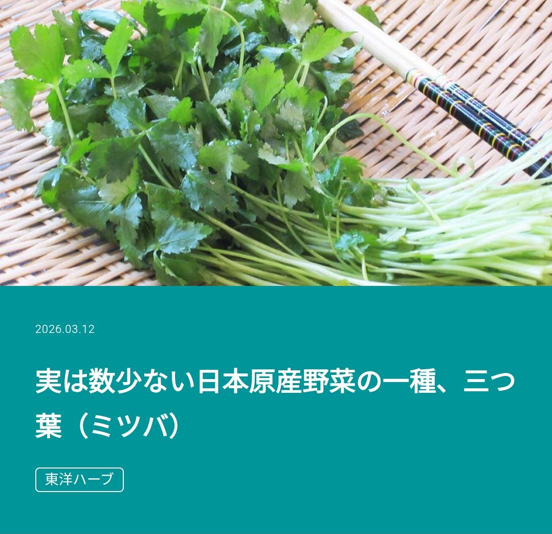 【ミツバ】＊他の方は購入しないでください＊ 【ミツバ】＊他の方は購入しないでください＊