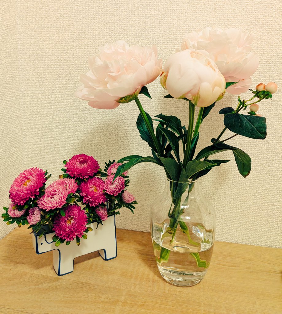 amefuly's tweet photo. 芍薬のシーズンですね https://t.co/orktBGeMjI