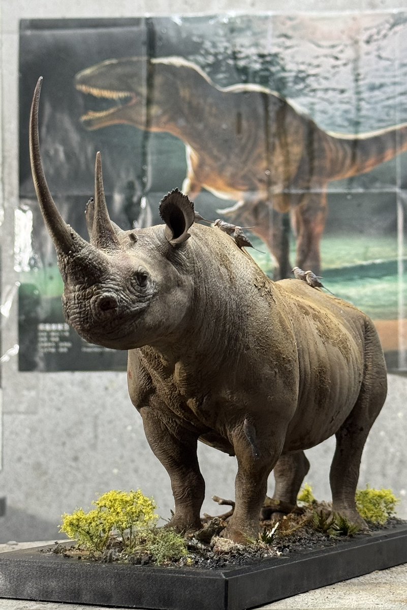 declaystudio's tweet photo. Karanja - The Three Horned Black Rhino
Model sculpt and painted by Hoang Manh Duy, now available to order on ours store, https://t.co/BVKGST7mMk