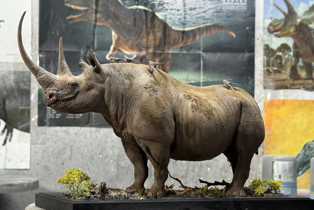 declaystudio's tweet photo. Karanja - The Three Horned Black Rhino
Model sculpt and painted by Hoang Manh Duy, now available to order on ours store, https://t.co/BVKGST7mMk