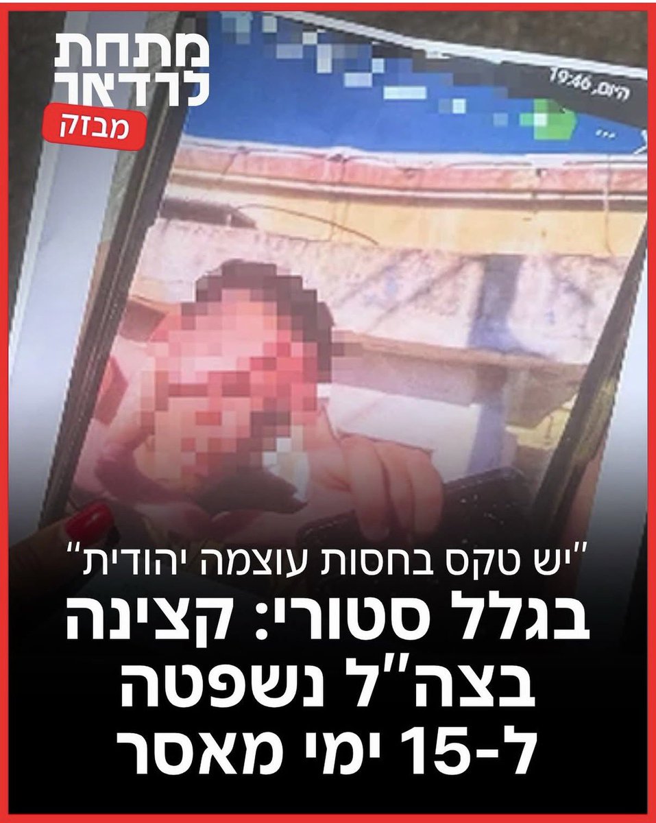 Tweet media 1