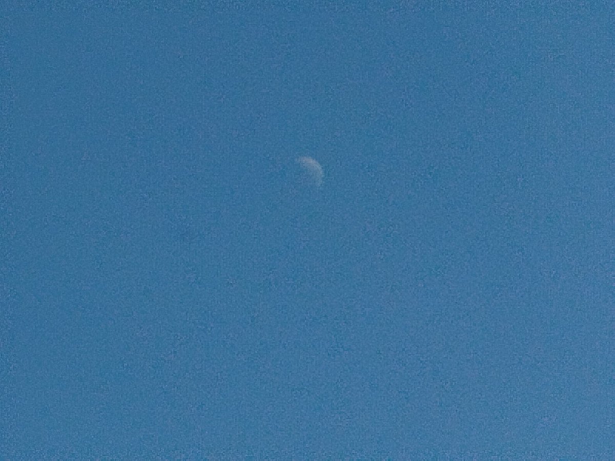 eddyline98's tweet photo. @aestheticsguyy Seeing the moon In the Morning makes me think it has insomnia https://t.co/q7ymuwR1bX