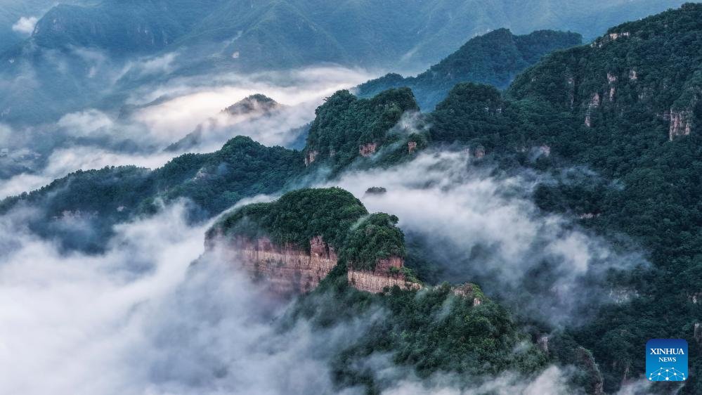 VoiceofPD's tweet photo. In pics: sea of clouds at Xinglong Mountain scenic spot in #China's #Hebei
More pics: https://t.co/sjJGcy15eK https://t.co/sllS90ucxS