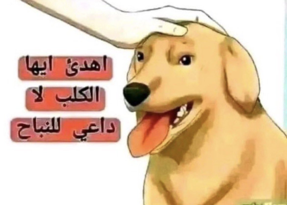 azeera3669's tweet photo. @marwan_aljaberi أما زلتم تنبحون ! https://t.co/71nWn3mw4i