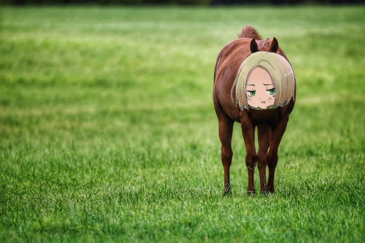 polishhorses's tweet photo. I actually don’t like this one at all like seriously this is really ugly to me and I usually find all Polish horses adorable
#hetalia https://t.co/oMyGwRZNDA