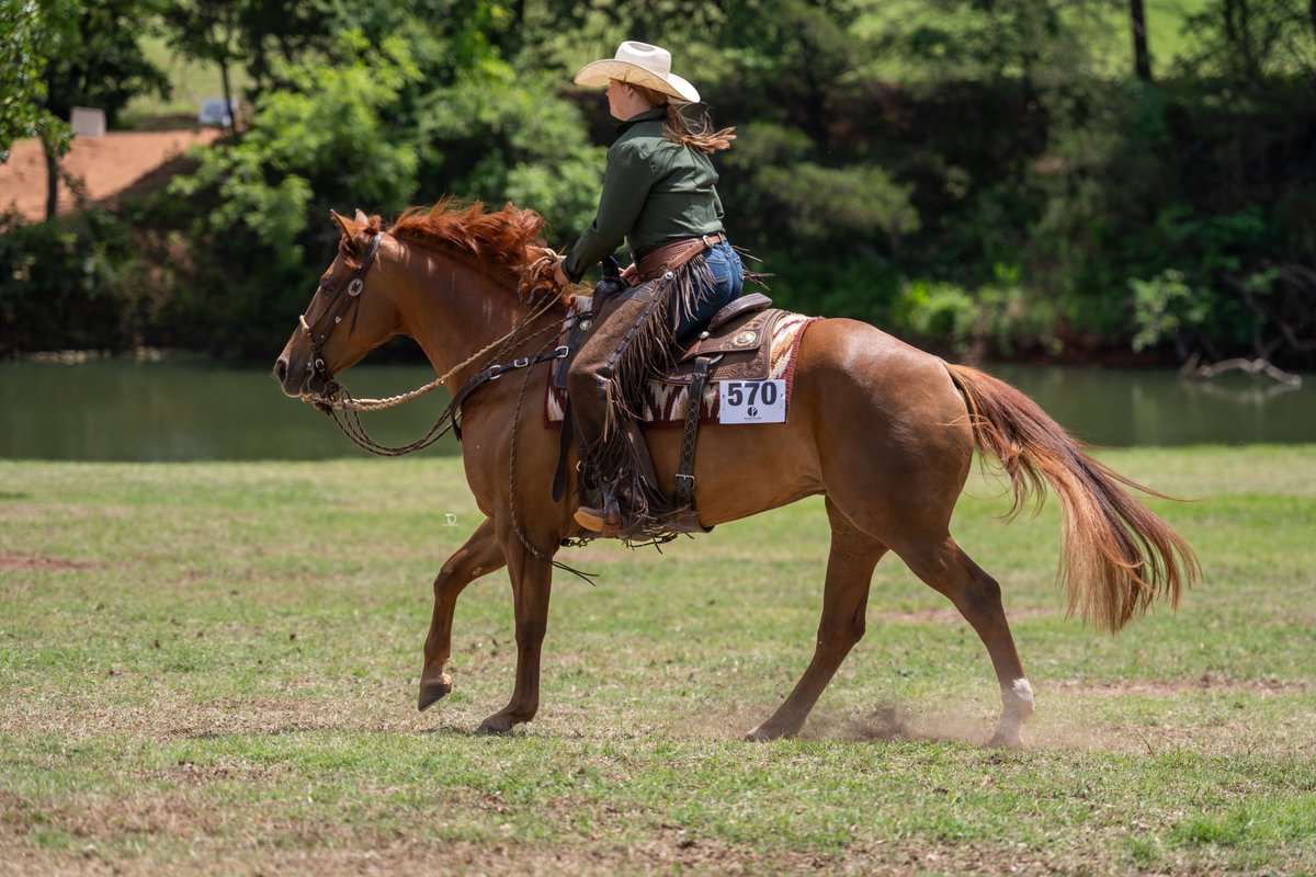 APHAnews's tweet photo. Chrome Cash was on the line at The Gathering, held May 13β16 at the Lazy E Arena in Guthrie, Oklahoma, and APHA horses took home extra dough. πΈ
πΈ : Traci Davenport Photography
#MarkedForGreatness | #APHA | #PaintHorse https://t.co/7gCx1l8Et3