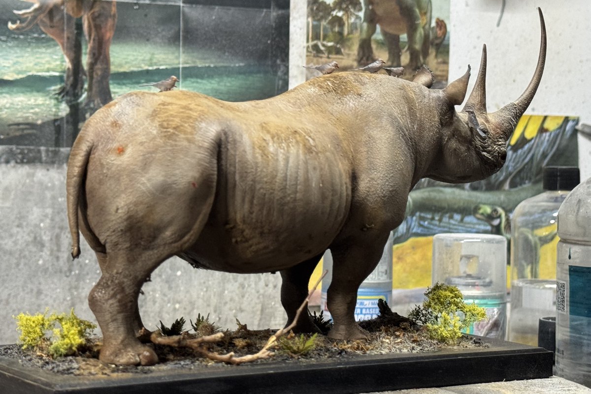declaystudio's tweet photo. Karanja - The Three Horned Black Rhino
Model sculpt and painted by Hoang Manh Duy, now available to order on ours store, https://t.co/BVKGST7mMk