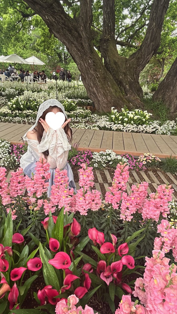 fffsamsam's tweet photo. ぴんくとお花畑🎀🫧💕🪞🌷🐇🩰🌸 https://t.co/FQqPVm3noG