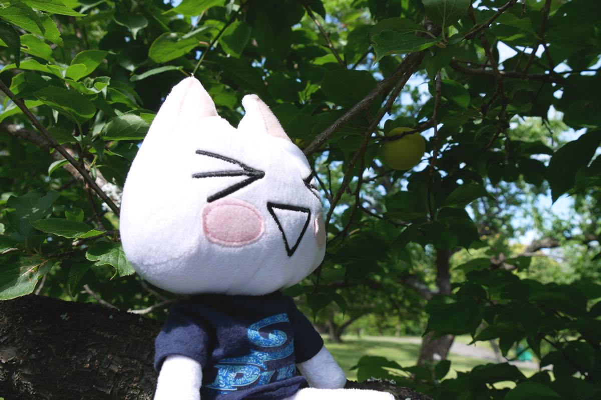 トラ子 (@torako83114606) / Posts / X