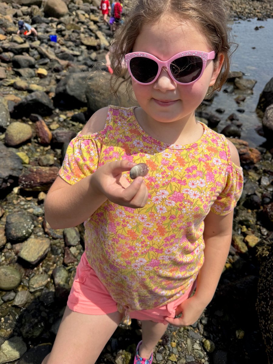 barnardschool's tweet photo. Gr 2/3 pics from visit to Seacoast Science Center. (1/2) https://t.co/4Pgv8WZaNO