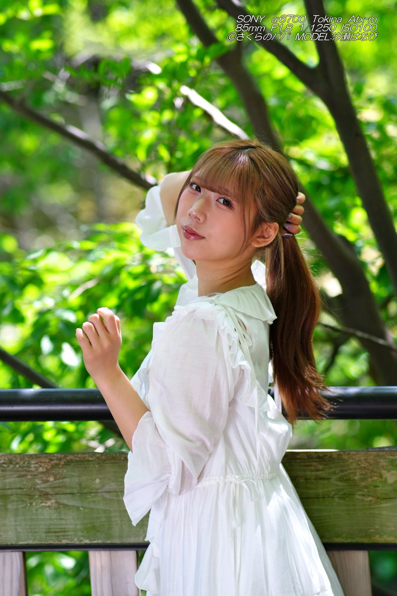 汐瀬はなび (しおちゃん)⑩20260419(青海南ふとう公園他