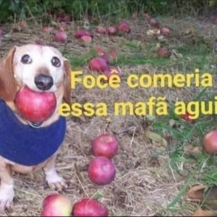 cartasdocaveira's tweet photo. https://t.co/CCAD2KQhC2