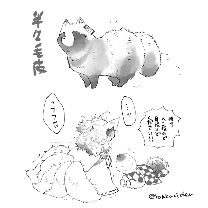 🔥🎴/こんぽん
衣替え中ぽんじろ(こんじゅろさんが綺麗に脱がし…とかしてくれました) 