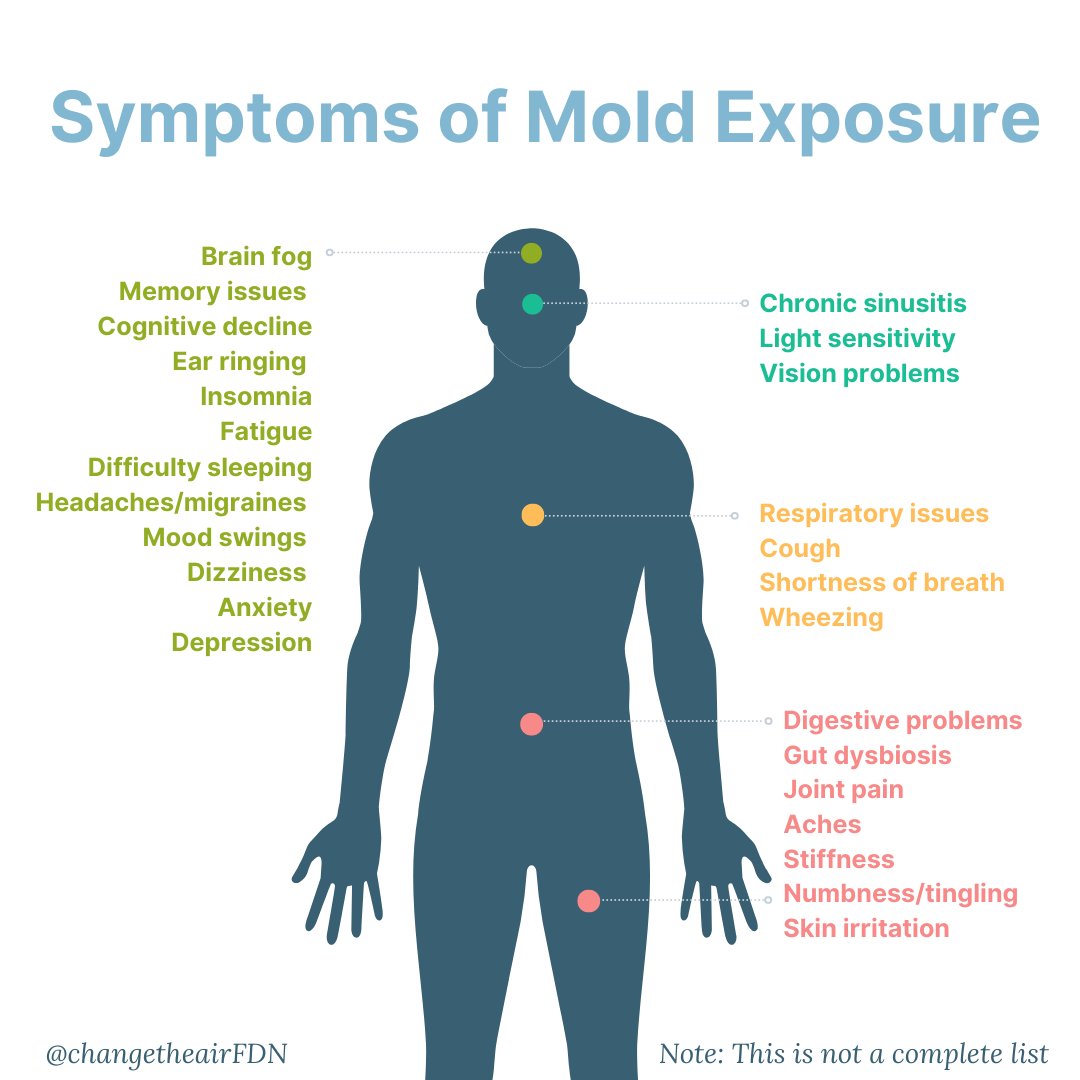 Outdoctrination's tweet photo. MOLD SYMPTOMS 101:

Cognitive & Neurological

⇨ Brain fog / poor memory
⇨ Difficulty concentrating
⇨ Word-finding issues
⇨ Headaches / migraines
⇨ Light sensitivity
⇨ Mood swings, anxiety, or depression

Respiratory

⇨ Sinus congestion
⇨ Chronic cough
⇨ Shortness of breath
⇨ Wheezing or chest tightness
⇨ Recurrent infections (sinus, bronchial)

Fatigue & Pain

⇨ Chronic fatigue
⇨ Muscle aches
⇨ Joint pain (without swelling)
⇨ Weakness
⇨ Exercise intolerance

Skin & Mucous Membranes

⇨ Itchy skin or rashes
⇨ Red eyes or blurred vision
⇨ Dry eyes, dry mouth
⇨ Increased static shocks

Gut & Immune

⇨ Nausea / abdominal pain
⇨ Diarrhea or constipation
⇨ Food sensitivities
⇨ Histamine intolerance
⇨ Low-grade fevers or immune suppression

Other Common Signs

⇨ Sensitivity to chemicals or smells
⇨ Frequent urination (especially at night)
⇨ Temperature dysregulation (feeling hot/cold)
⇨ Dizziness / balance issues
⇨ Metallic taste in mouth
⇨ Allergy like symptoms (can activate mast cells)

Having one doesn't mean you definitely have a mold issue, but it certainly could.