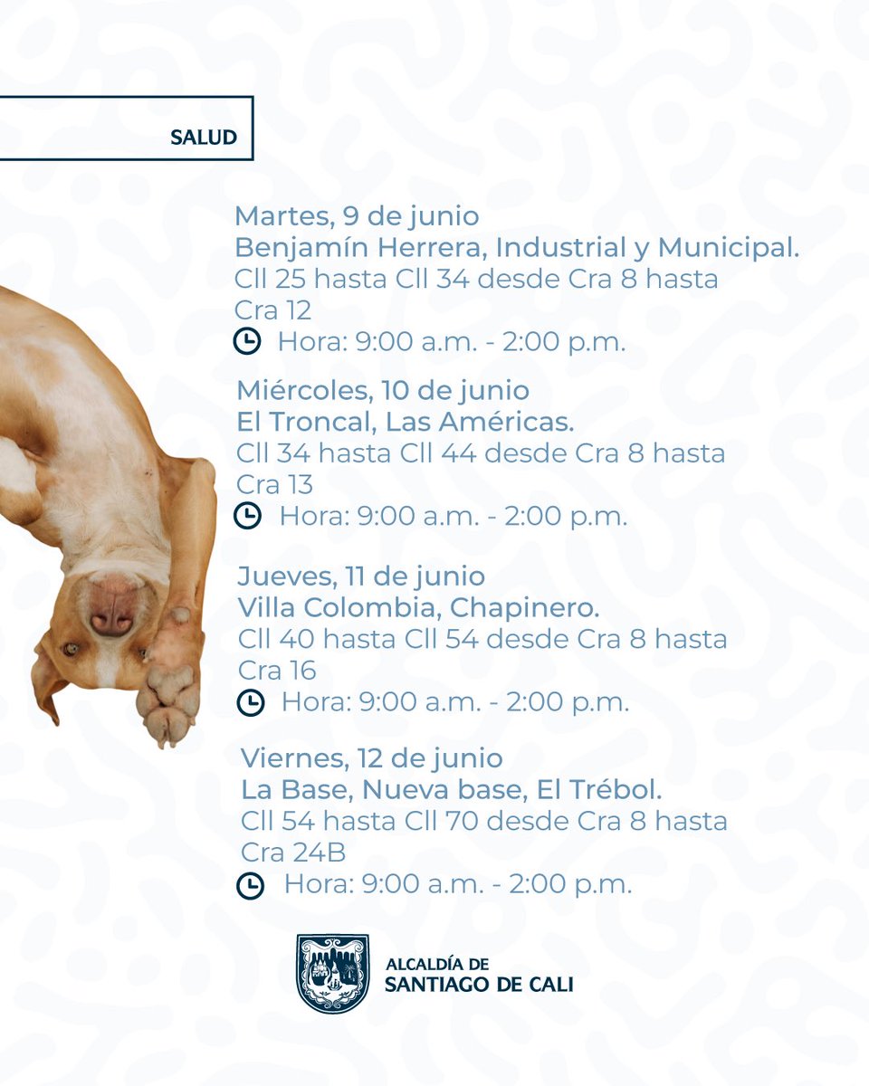 SaludCali's tweet photo. 🐾💉 ¡Protege a tu mejor amigo!
La rabia es una enfermedad mortal, pero prevenirla está en tus manos. Te invitamos a participar en las jornadas de Vacunación Antirrábica para perros y gatos de la Comuna 8 🐶🐱
✅ Vacunación sin costo
#AsíRecuperamosCali https://t.co/DO7uziitJv