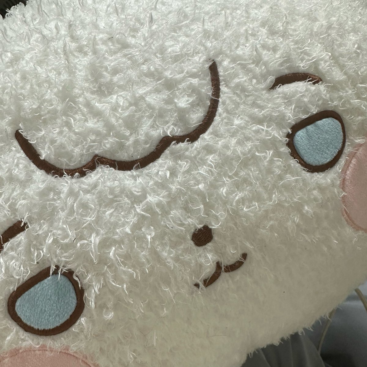 sarachu__'s tweet photo. 맨날 안고 끼고 다녀서 진짜 꼬질해짐 https://t.co/1FaxFv3nXI