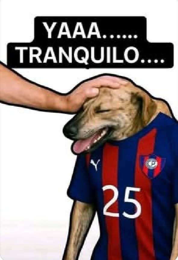 Draf78's tweet photo. @Lau643159516134 @elcecediez Tranquilo tortillin 😂🤡🤡🤡 https://t.co/DSf2ex2pyp