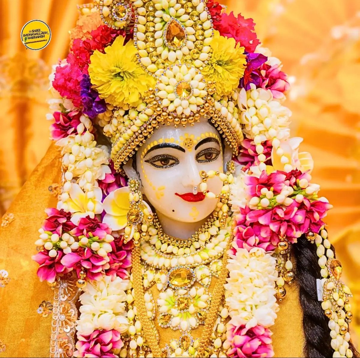 malaradnik's tweet photo. @sapnajoshi122 Radhe Radhe 🙏 Sakhi ♥️ https://t.co/OGRE5olRqF