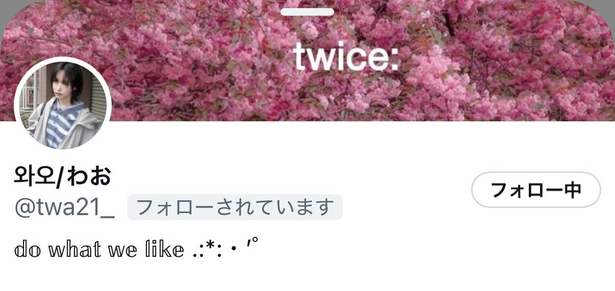 mitzu3725's tweet photo. https://t.co/xtExTfaQ4M
