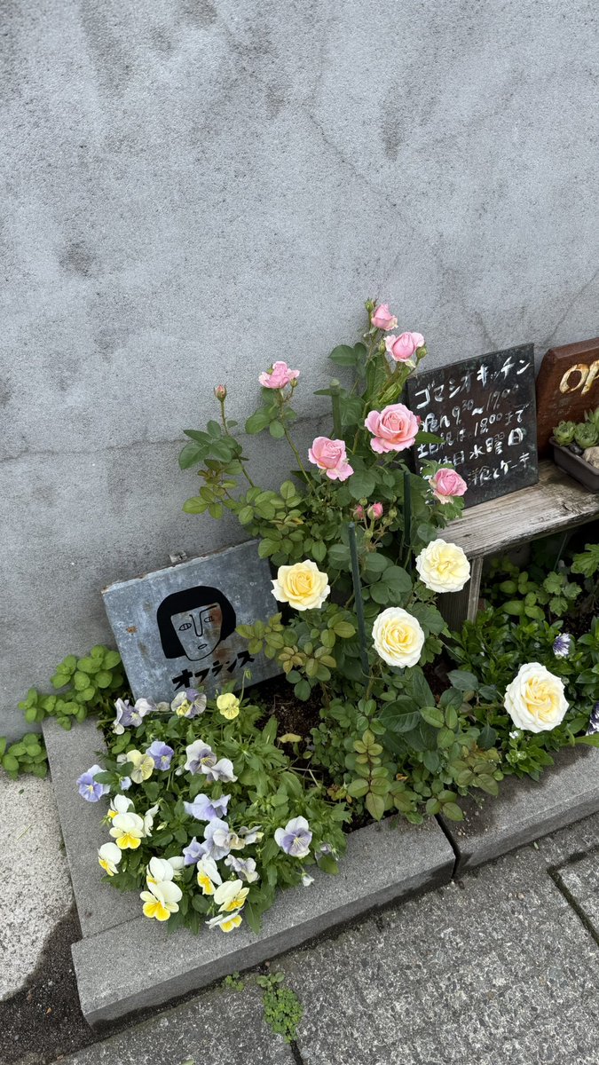 ___s1031's tweet photo. ラッキーアイテム「タマキン」だった
んなわけあるかい
 #秋田カフェ  #カフェ https://t.co/8mooSu2IlP