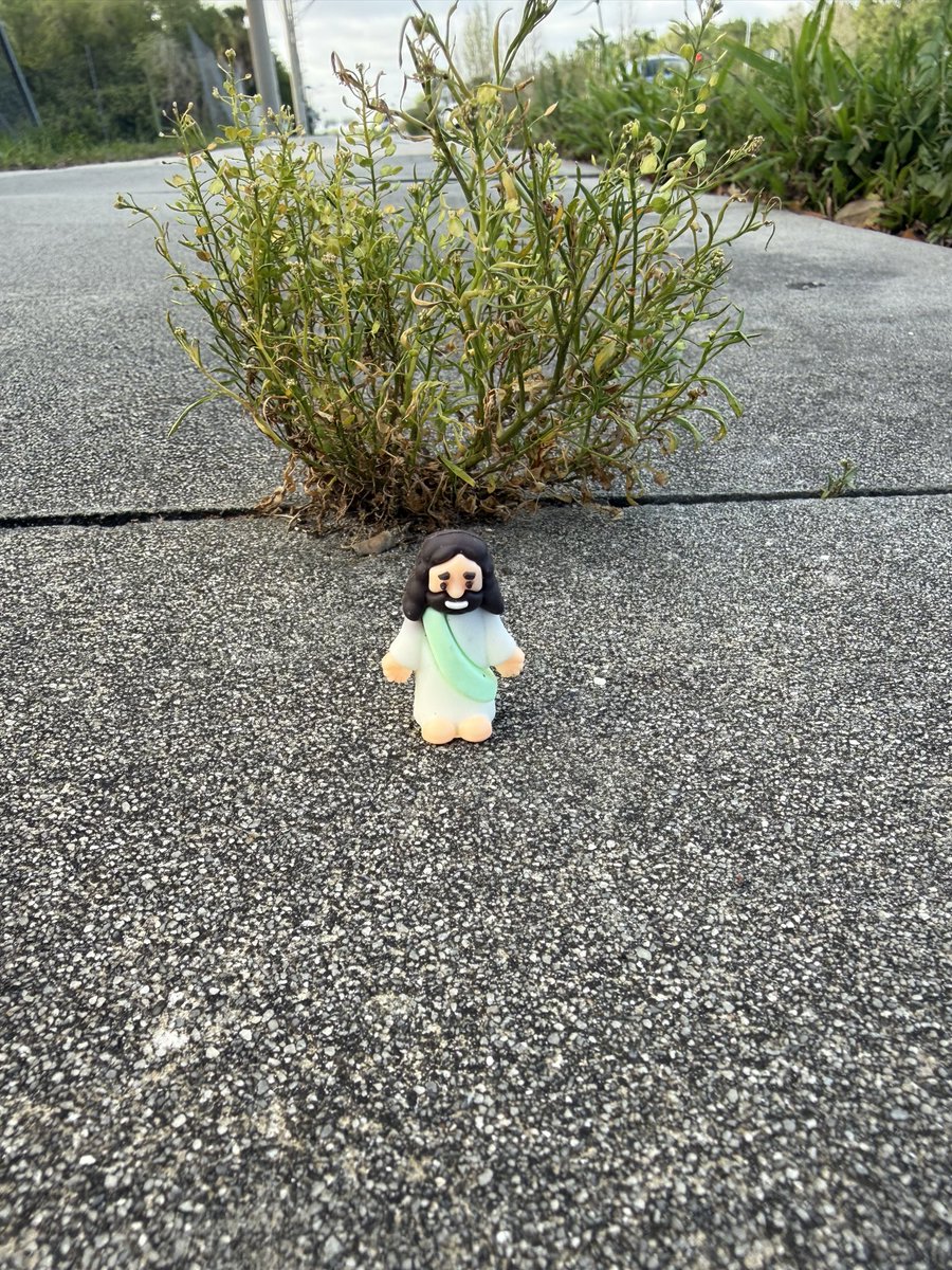 TravelingwJesus's tweet photo. If faith can move mountains, it can definitely crack a little concrete. https://t.co/36T3dryvql