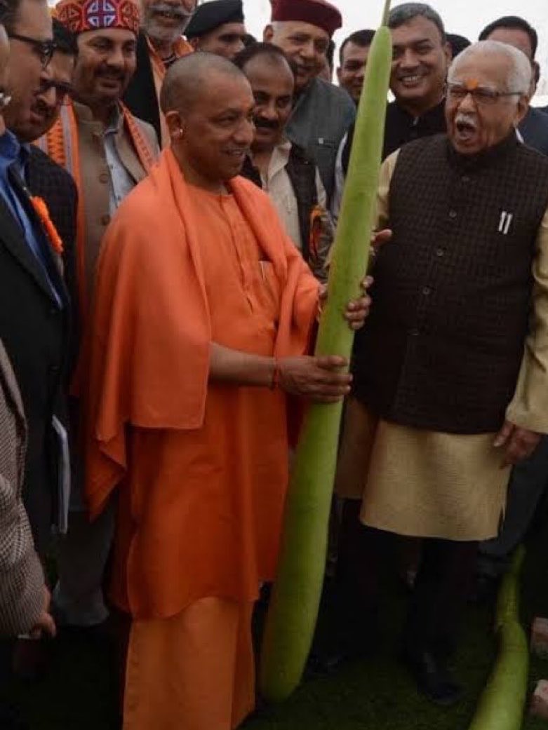 ChillamChilli's tweet photo. Aaja tujhe resignation du https://t.co/Gz1tJMLQAm