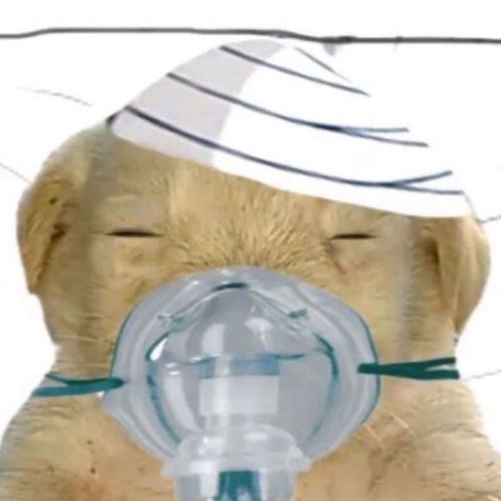 notpillow's tweet photo. 늘 저에게 가장 큰 행복이었습니다<
어머 어머미친 어머 https://t.co/pzvOP99CYu
