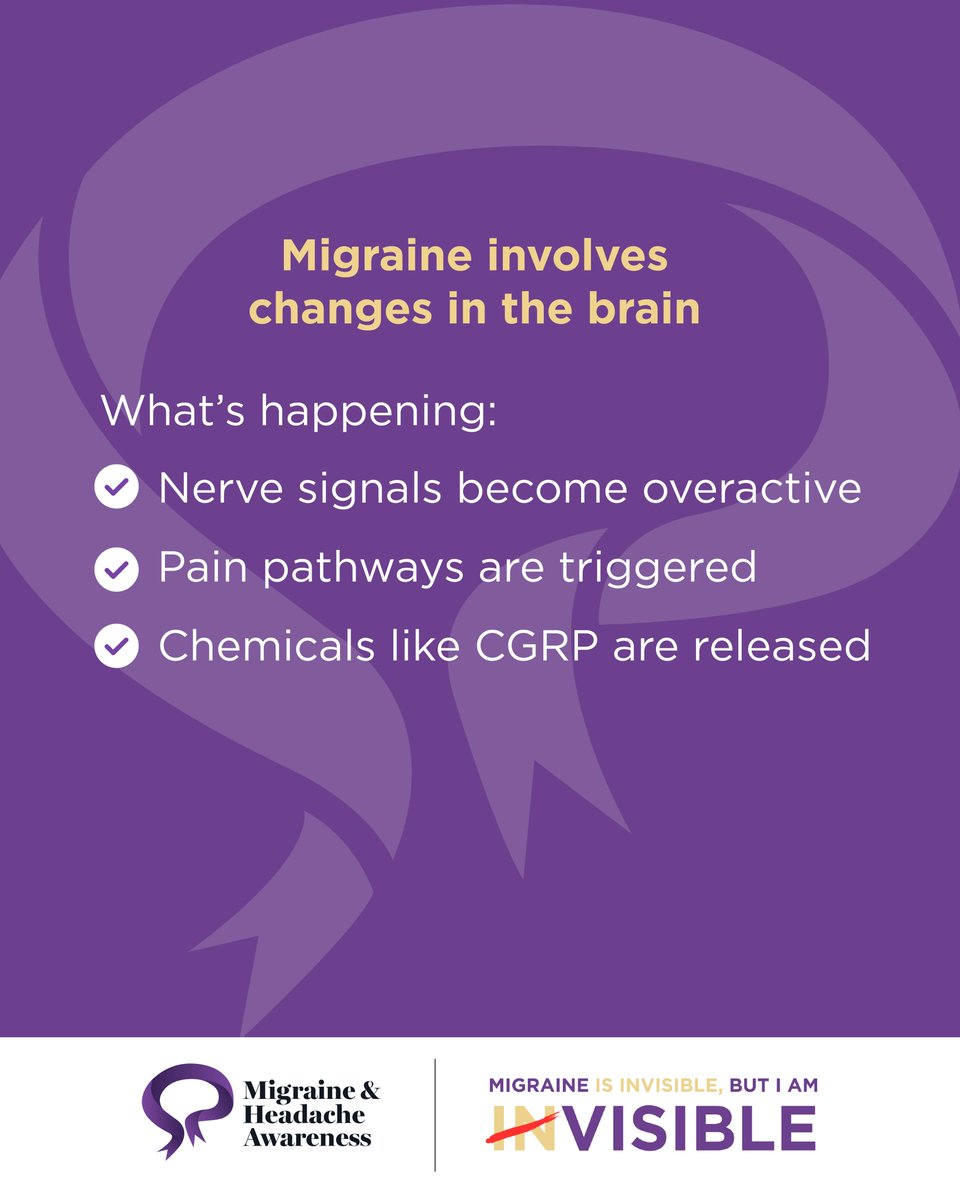 amfmigraine's tweet photo. Migraine starts in the brain.
Changes in nerve activity and chemical signals can trigger the pain and symptoms people experience during an attack.
Join us live with Dr. Andrea Harriott to learn more about what's driving migraine.
#IAmVisible https://t.co/x6c6HE0VNe